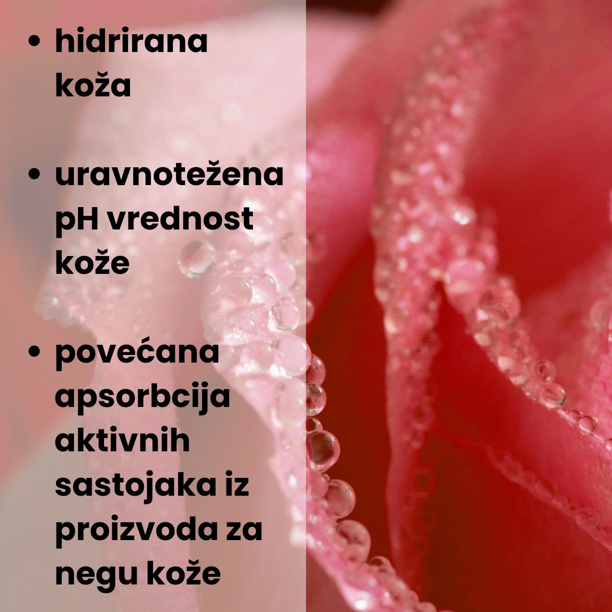 U pozadini slike je ružičasta ruža sa kapljicama na laticama, a na površini slike piše "hidrirana koža; uravnotežena pH vrednost kože; povećana apsorbcija aktivnih sastojaka iz proizvoda za negu kože".